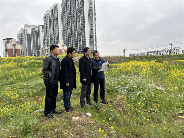 3月29日，張總陪同汪盛縣長調(diào)度揚(yáng)之學(xué)校征地.jpg